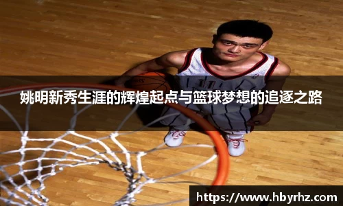 完美体育在线入口官网