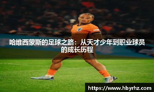 完美体育在线入口官网